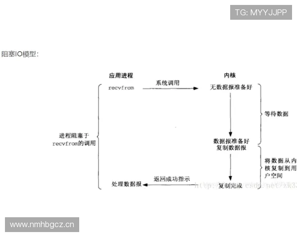 坎塞洛与阿诺德：组织型边卫的两种路径解析